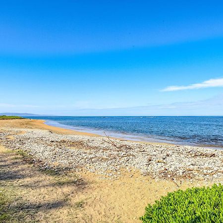 Menehune Shores Kihei Bilik gambar